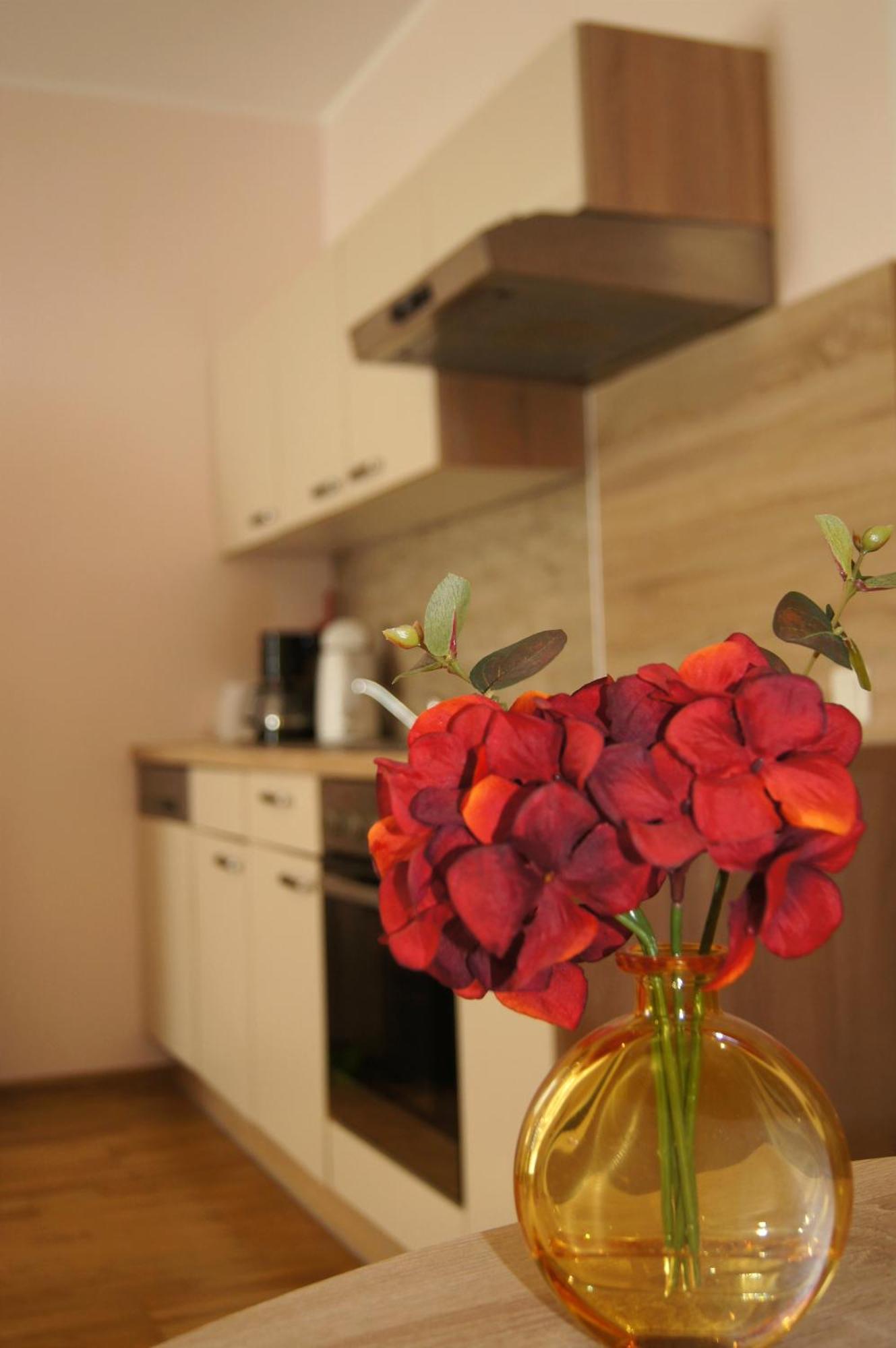 באד קיסינגן Park Villa Apartments מראה חיצוני תמונה